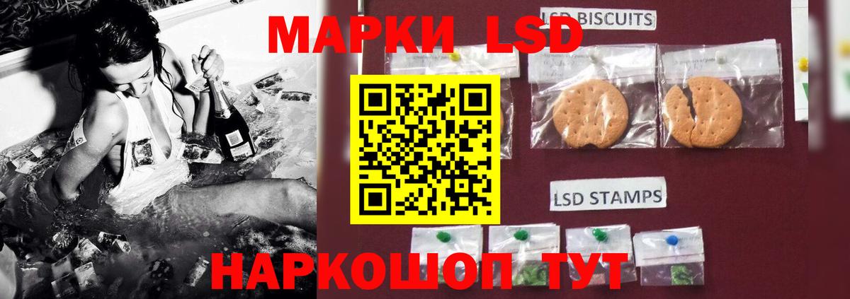 Конопля Ногинск
