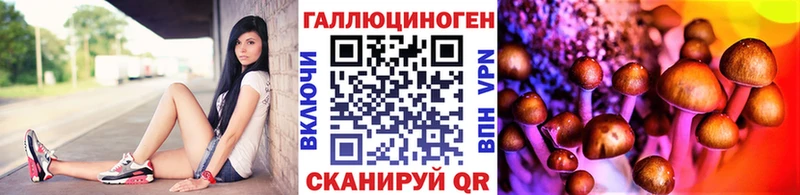 Галлюциногенные грибы GOLDEN TEACHER Ногинск