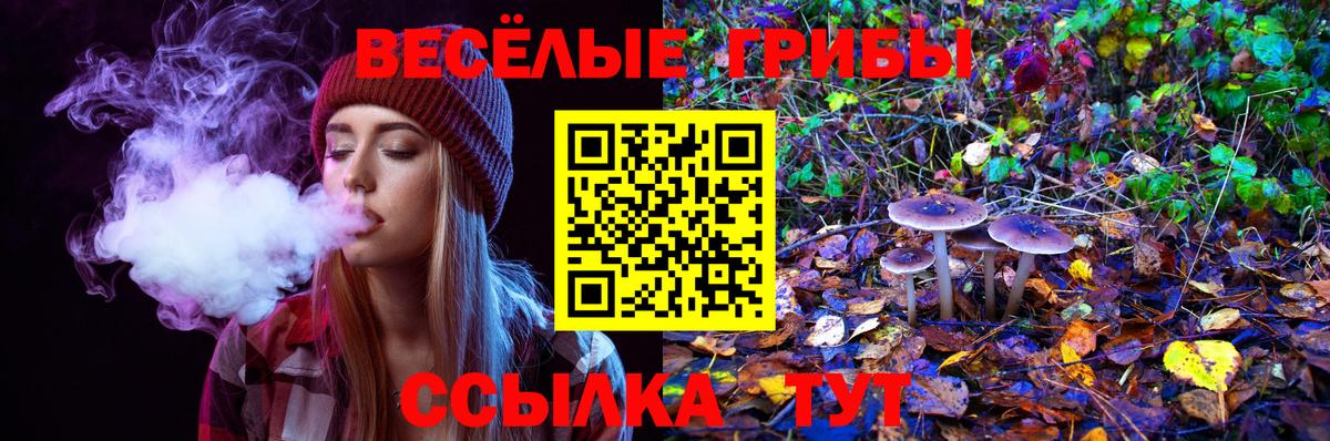 Ногинск  Галлюциногенные грибы Psilocybine cubensis  Вход с VPN 