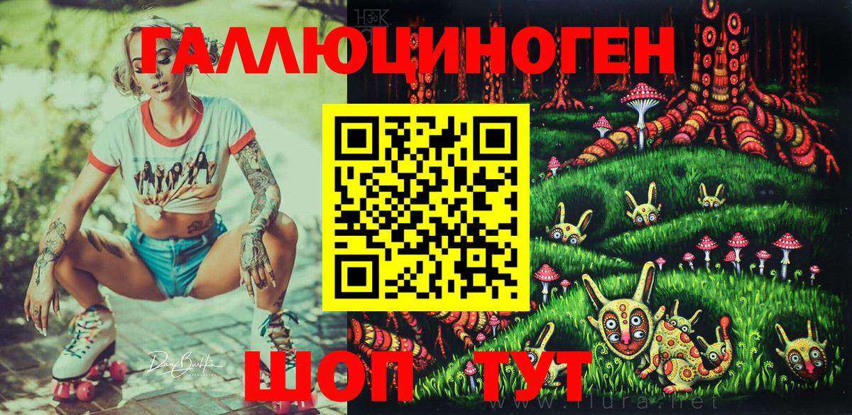 Псилоцибиновые грибы Psilocybe Ногинск